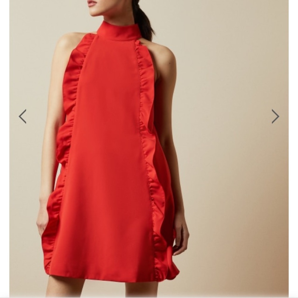 Ted baker dress